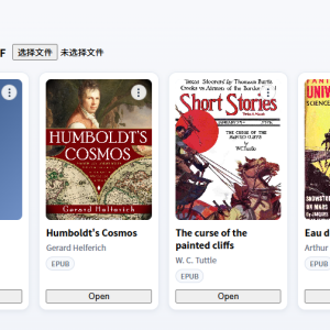 E-Reader PWA｜本地优先的电子书阅读与翻译系统